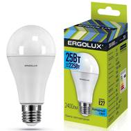 Комплект светодиодных лампочек ERGOLUX LED-A65-25W-E27/10шт-4K/10шт