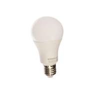 Комплект светодиодных лампочек ERGOLUX LED-A65-20W-E27/-6K/10шт