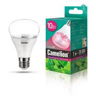 Лампа светодиодная CAMELION LED10-PL/BIO/E27