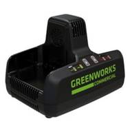 Зарядное устройство Greenworks G82C2