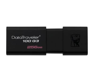 Флешка KINGSTON DT100G3/256GB