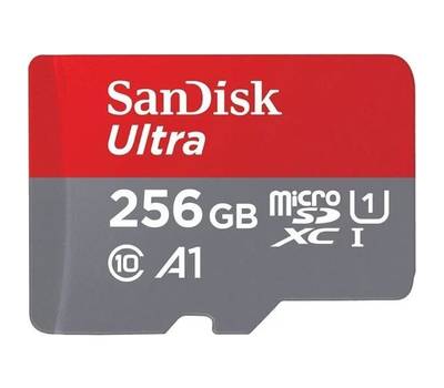 Флешка SANDISK SDSQUAR-256G-GN6MA