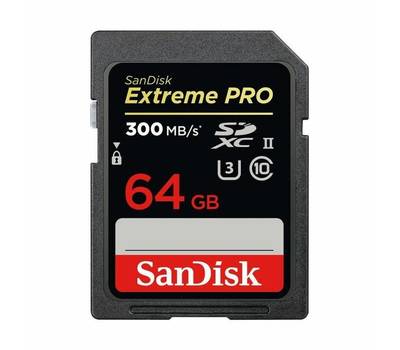 Флешка SANDISK SDSDXPK-064G-GN4IN