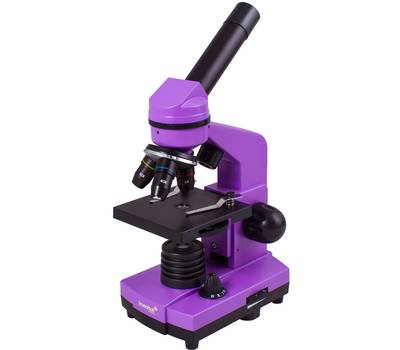 Микроскоп LEVENHUK RAINBOW 2L AMETHYST/Аметист