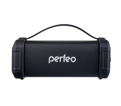 Колонки для компьютера PERFEO PF_A4319 FM, MP3, microSD, USB, EQ, AUX, мощность 12Вт, 2200mAh, черны