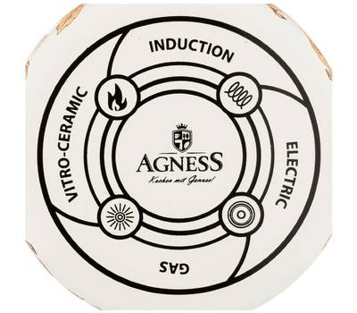 Чайник AGNESS 950-160
