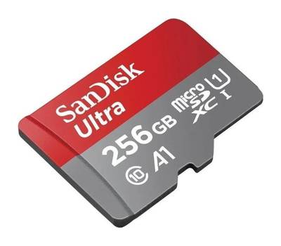 Флешка SANDISK SDSQUAR-256G-GN6MA