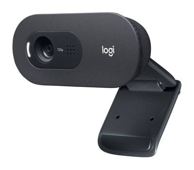 Web-камера LOGITECH C505e