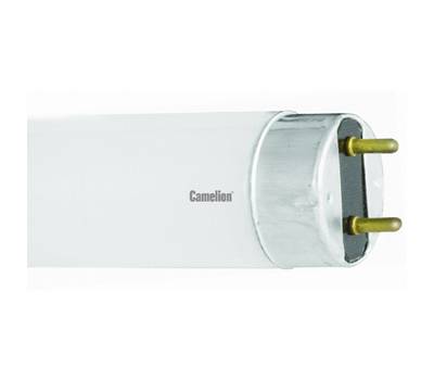 Комплект люменисцентных лампочек CAMELION FT8 10W/54 DAY LIGHT 6500K/10шт