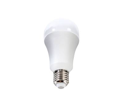 Комплект светодиодных лампочек ERGOLUX LED-A70-35W-E27/10шт-6K/10шт