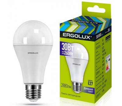Комплект светодиодных лампочек ERGOLUX LED-A70-30W-E27/10шт-6K/10шт