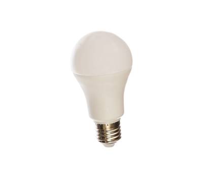 Комплект светодиодных лампочек ERGOLUX LED-A65-20W-E27/-4K/10шт