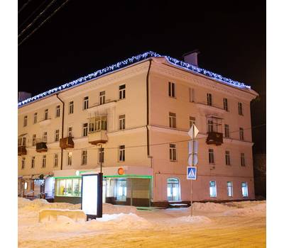 Гирлянда Neon-Night "Айсикл" (бахрома) светодиодный, 4,0 х 0,6 м, 230 В, 255-225