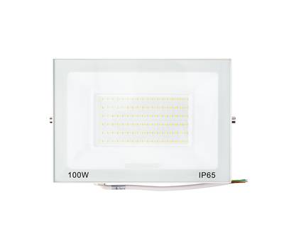 Прожектор светодиодный REXANT СДО 100 Вт 8000 Лм 5000 K белый корпус 605-027