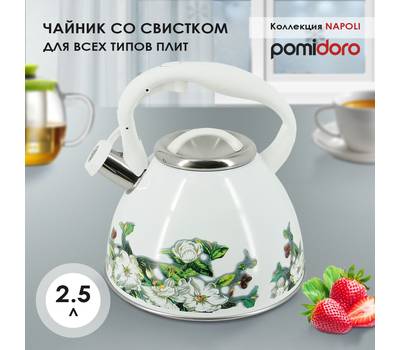 Чайник Pomi d'Oro со свистком, 2,5л P-650202 Napoli