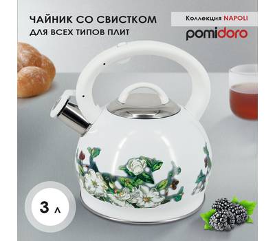 Чайник Pomi d'Oro со свистком 3л P-650198 Napoli