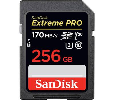 Карта памяти SANDISK BY WESTERN DIGITAL SDSDXXY-256G-GN4IN