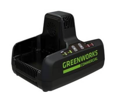 Зарядное устройство Greenworks G82C2