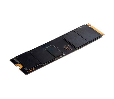 Накопитель SSD DIGMA Pro Top P8 DGPST4002TP8T7