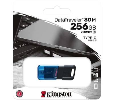 Флешка KINGSTON DataTraveler 80 M DT80M/256GB