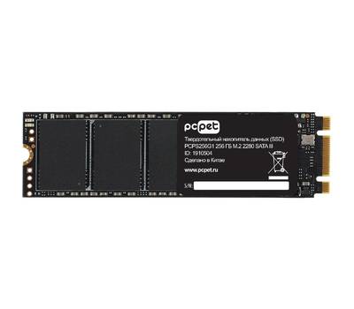 Накопитель SSD PC PET PCPS256G1