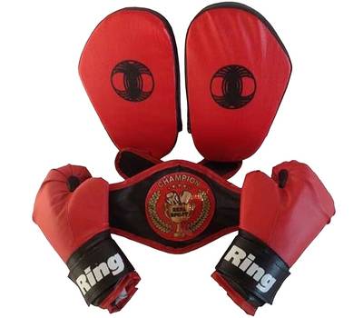 Мешок боксерский RealSport ЛИДЕР (перчатки, лапы, пояс чемпиона)