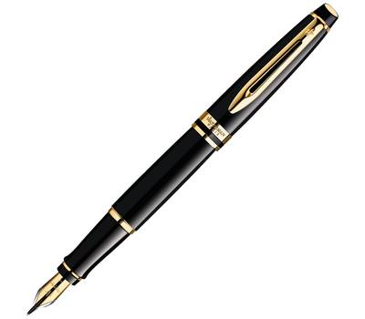 Ручка перьевая WATERMAN S0951640 Expert Black GT F