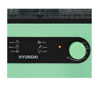 Сушилка электрическая HYUNDAI HYDF-5032