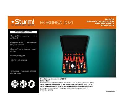 Набор инструментов Sturm! 1310-02-T9