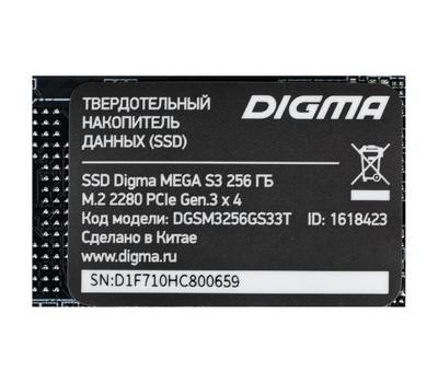 Накопитель SSD DIGMA Mega S3 DGSM3256GS33T