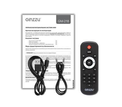 Акустика портативная GINZZU GM-218