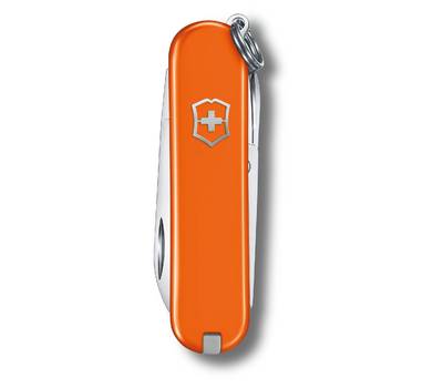 Нож перочинный VICTORINOX 0.6223.83G