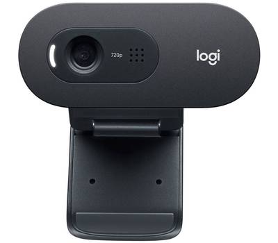 Web-камера LOGITECH C505e