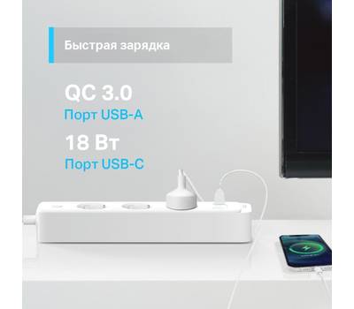 Умная розетка TP-LINK Tapo P300