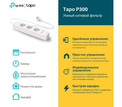 Умная розетка TP-LINK Tapo P300