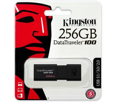 Флешка KINGSTON DT100G3/256GB