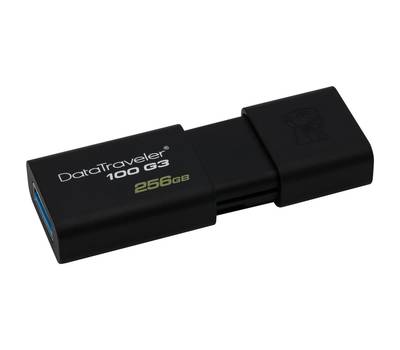 Флешка KINGSTON DT100G3/256GB