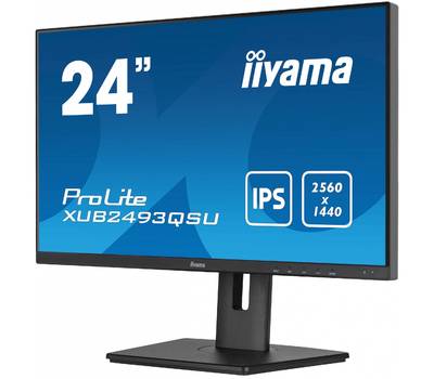 Монитор IIYAMA 23.8" ProLite XUB2493QSU-B5 черный IPS LED 16:9 HDMI M/M матовая HAS Piv 300cd 178гр/