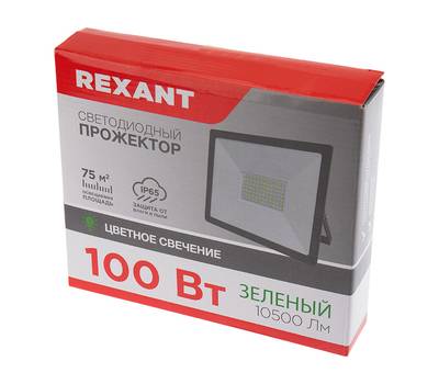 Прожектор светодиодный REXANT 100 Вт, цвет свечения зеленый 605-018