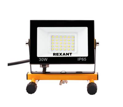 Прожектор светодиодный REXANT СДО-EXPERT 30 Вт 2400 Лм 6500 K со шнуром 0,5 метра и евровилкой 605-0