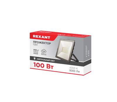 Прожектор светодиодный REXANT СДО 100 Вт 8000 Лм 4000 K черный корпус 605-034