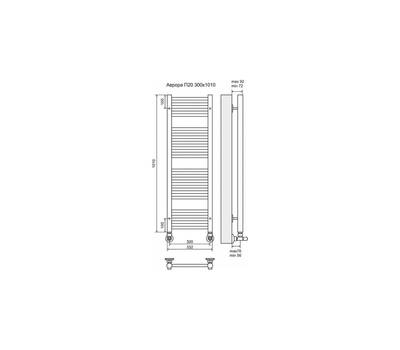 Полотенцесушитель Terminus Аврора П20 300x1010