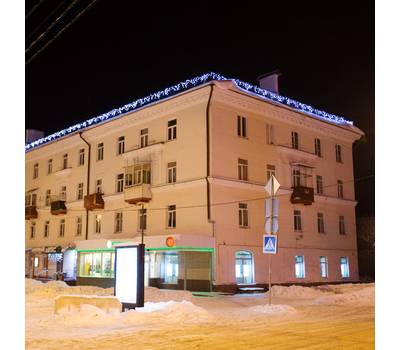 Гирлянда Neon-Night Айсикл (Бахрома) светодиодная 5х0,7 м, 152 LED, черный провод каучук, белое свеч