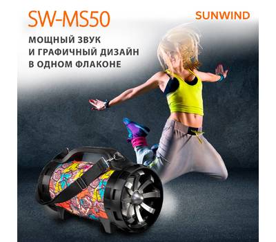 Музыкальный центр SUNWIND SW-MS50