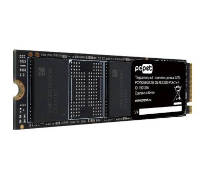 Накопитель SSD PC PET PCPS256G3