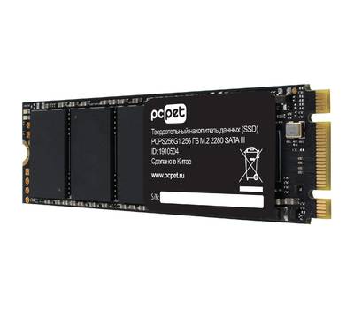 Накопитель SSD PC PET PCPS256G1