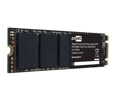 Накопитель SSD PC PET PCPS256G1