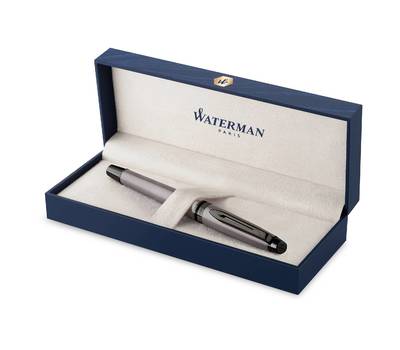 Ручка роллер WATERMAN Expert DeLuxe, Metallic Silver RT