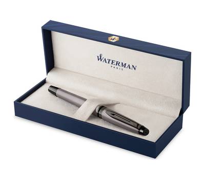 Ручка роллер WATERMAN Expert DeLuxe, Metallic Silver RT