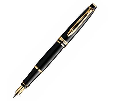 Ручка перьевая WATERMAN S0951640 Expert Black GT F